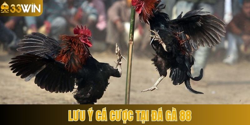 Lưu ý tân binh nên nắm rõ khi nhập cuộc